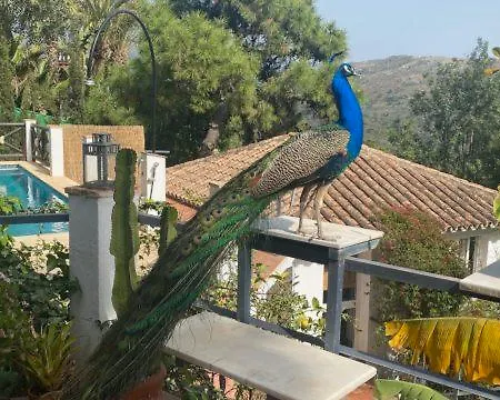 Landhuis Casa Simba Estepona