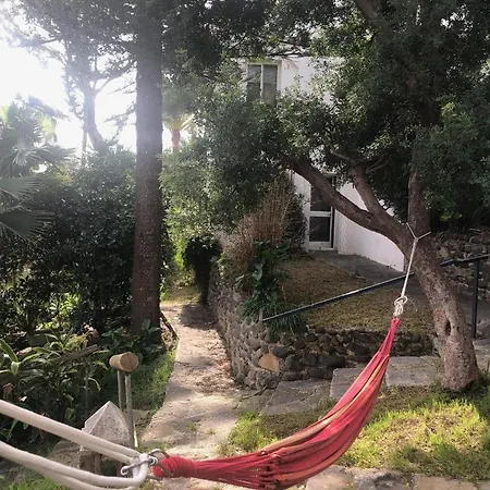 Casa Simba Landsted